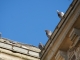 Les pigeons de l'église Notre Dame.