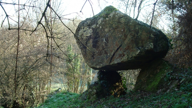 Mégalithes de La Baronnière (néolithique) - Houssay
