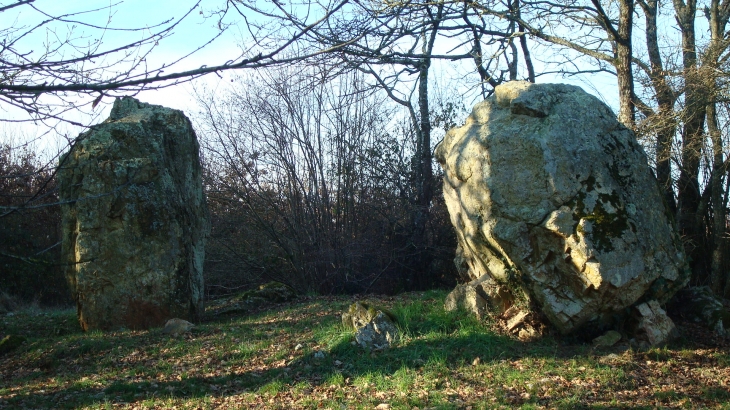 Mégalithes de La Baronnière (néolithique) - Houssay