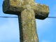 Photo suivante de Rennes-en-Grenouilles La croix de la croix hosannière.