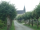Photo suivante de Saint-Michel-de-Feins Allée d'arbres.