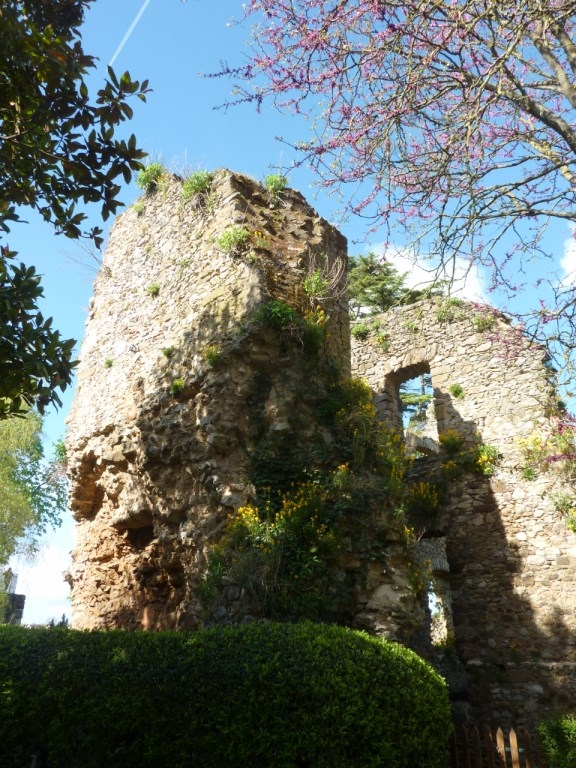 Ruines du donjon - Fresnay-sur-Sarthe