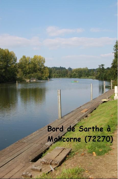 Les bords de la Sarthe Promenade - Malicorne-sur-Sarthe