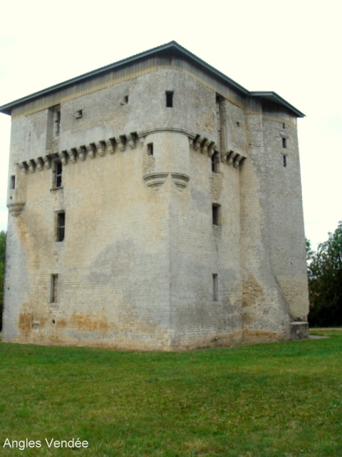 Tour Moricq XI eme siècle - Angles