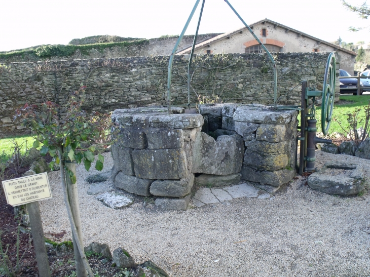 Puits du chateau creusé au XVI eme siecle directement dans la roche - Apremont