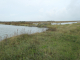 le polder de Sébastopol réserve naturelle
