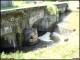 Photo suivante de Commequiers Pont du moulin de Dolbeau