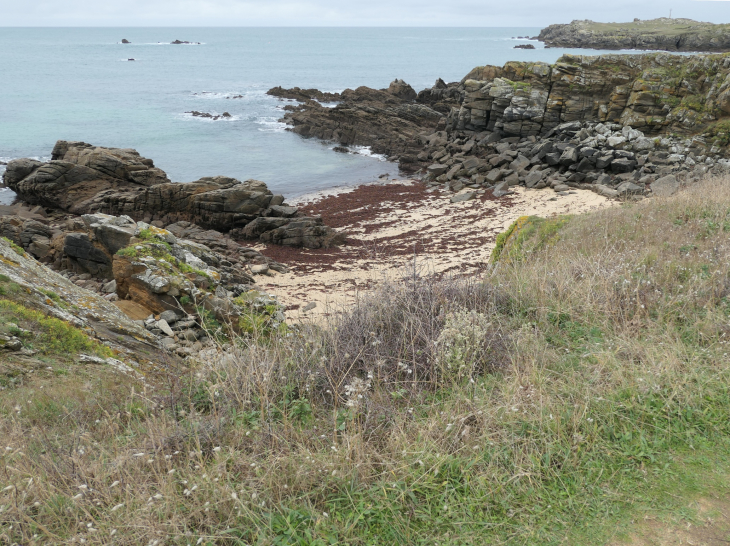 La côte sauvage : la pointe du Châtelet - L'Île-d'Yeu