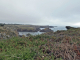 Photo suivante de L'Île-d'Yeu la côte sauvage : la pointe des degrés