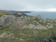 Photo suivante de L'Île-d'Yeu la côte sauvage : la pointe des degrés