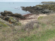 Photo suivante de L'Île-d'Yeu la côte sauvage : la pointe du Châtelet