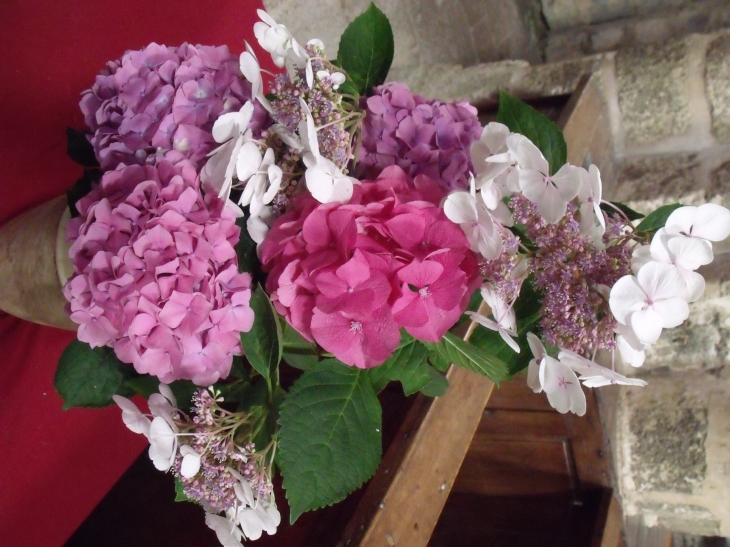 Quelques fleurs pour la fête des papas - La Chaize-le-Vicomte