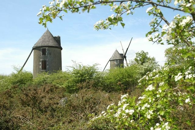 Moulins - Mouilleron-en-Pareds