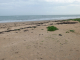 La Conche des Normands : la plage
