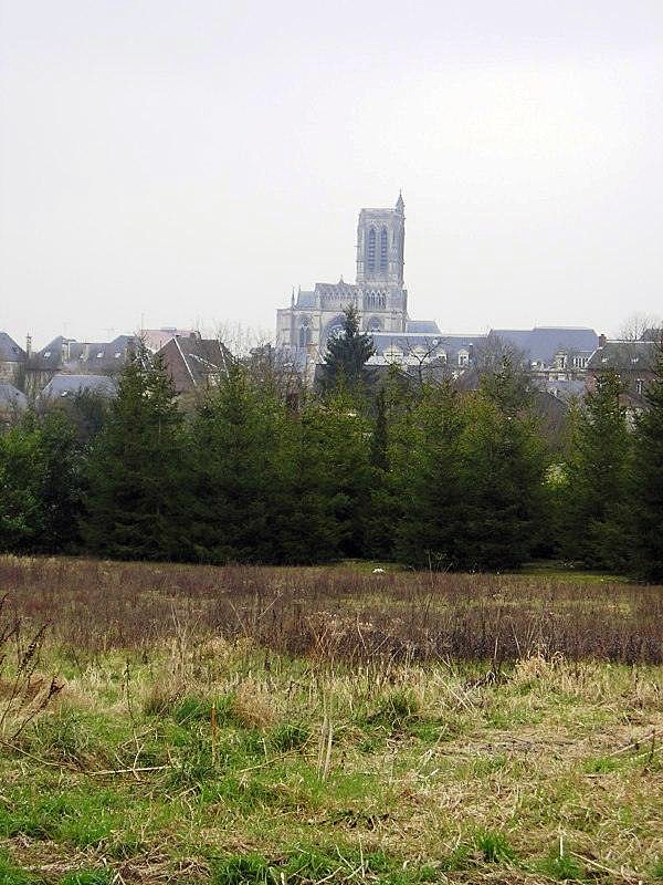 La cathédrale vue de loin - Soissons