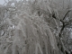 Photo précédente de Le Hamel -5 degrés petite sibérie