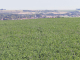 Photo précédente de Aubigny la Neuville vue du mémorial australien de Villers Bretonneux