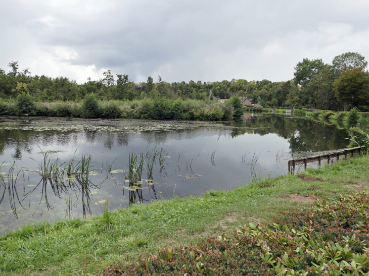 Un étang de la Somme - Éclusier-Vaux