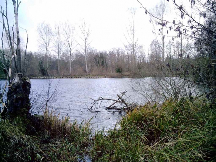 Le grand étang - Hamelet