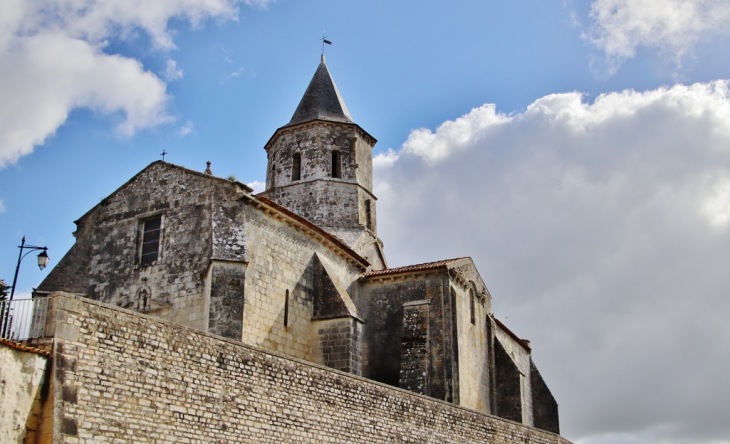  église Saint-Martin - Arces
