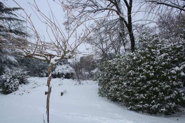 ARCHIAC sous la neige le 2/12/2010