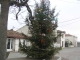 la place de cherbonnières, le sapin de noel, et une rue de cherbonnières