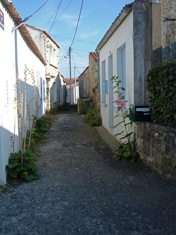 Ruelle deChaucre, commune de Saint Georges d'Oléron - Saint-Georges-d'Oléron