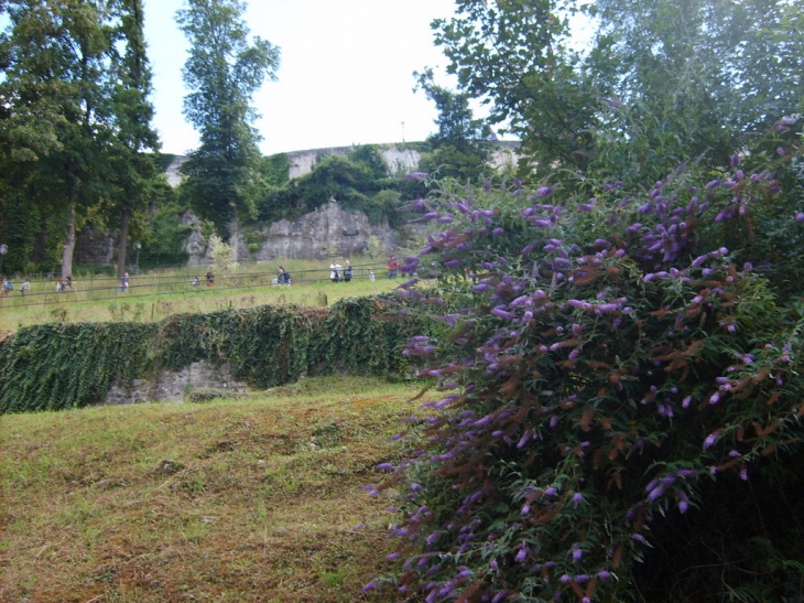 Jardin Vert - Vue panoramique d'angoulême