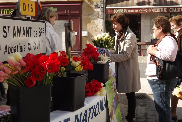 Des tulipes contre la cancer - Montignac-Charente