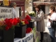 Photo suivante de Montignac-Charente Des tulipes contre la cancer