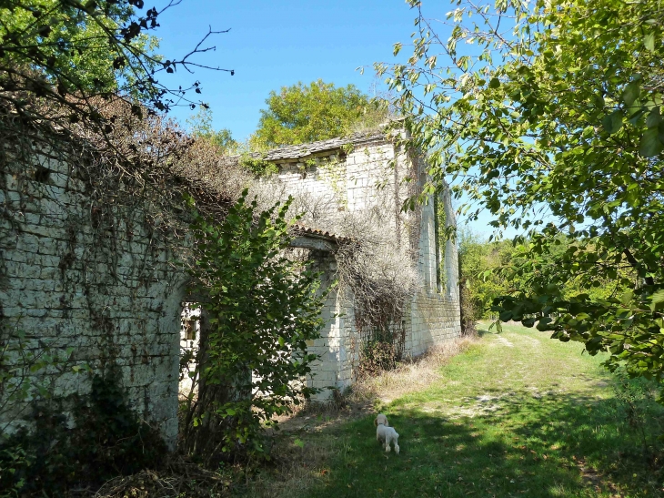 En bordure de la forêt de Boixe, près du hameau de Courreau, s'élèvent encore des ruines importantes de ce qui fut autrefois la chapelle de la commanderie du Temple de Boixe (XIIe siècle). - Saint-Amant-de-Boixe