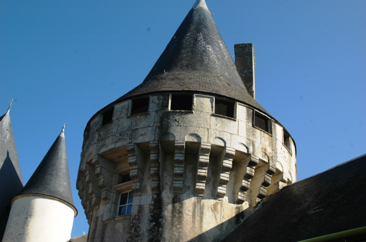 Chateau de Javarzay  - Chef-Boutonne
