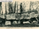 Photo suivante de Limalonges Dolmen de la Pierre-Pése  avec de la mousse
