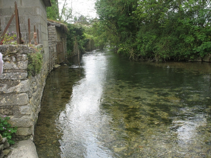 La riviere vue du lavoir - Pamproux