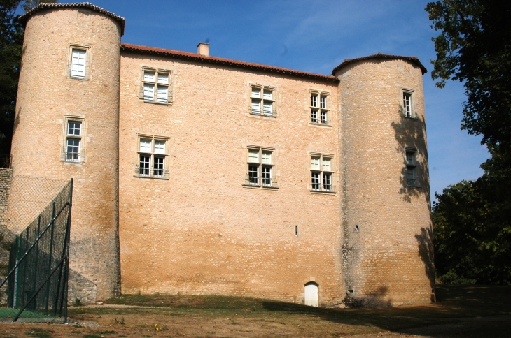 Chateau médiéval du 15 éme siècle - Ayron