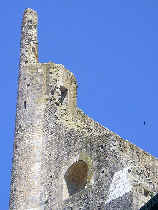 Vestiges du château baronnial - Chauvigny