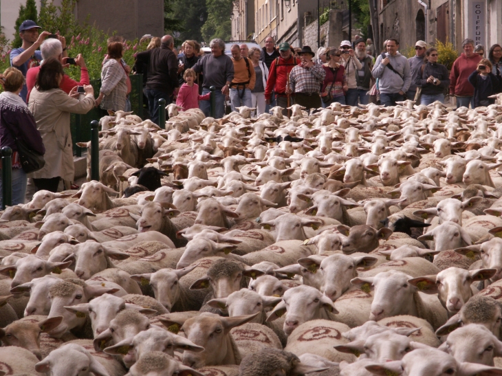 Sisteron proche Le Caire : Fête de l'agneau 24 Mai 2014