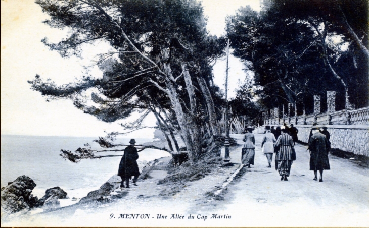 Une Allée du Cap Martin, vers 1920 (carte postale ancienne). - Menton