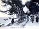 Photo suivante de Menton Une Allée du Cap Martin, vers 1920 (carte postale ancienne).