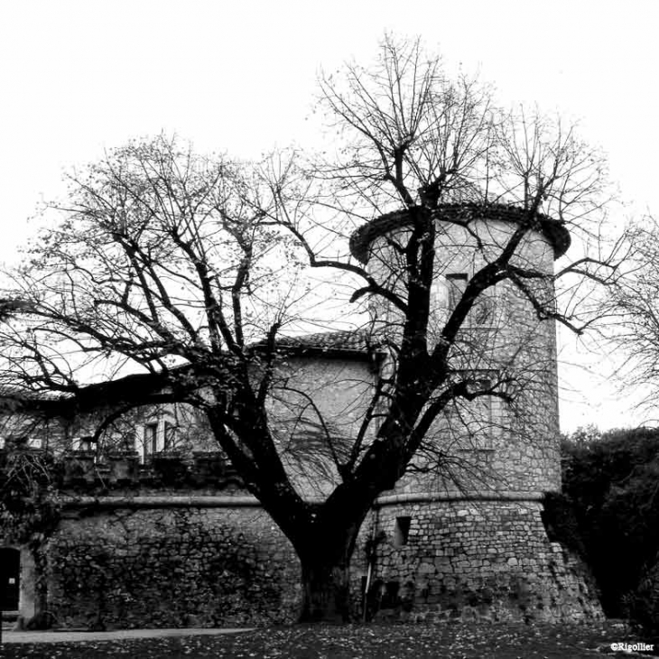 Le Château en hiver - Mouans-Sartoux