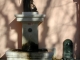 La fontaine contre l'église