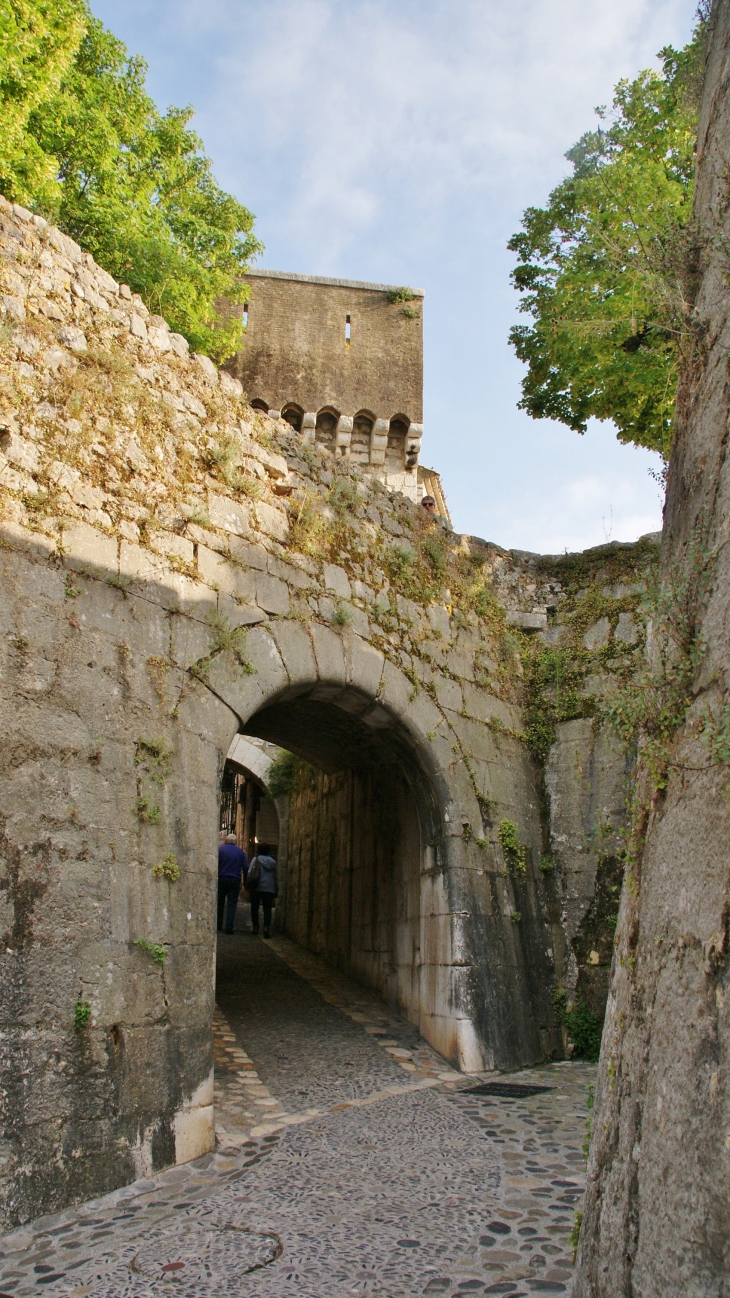 Remparts porte de la Ville ( Fortifications du Moyen-Age ) - Saint-Paul