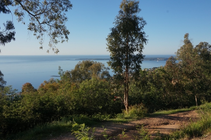 Parc Lou Pardou - Vallauris