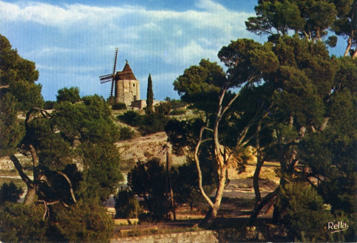Le Moulin de Daudet (carte postale de 1980) - Fontvieille