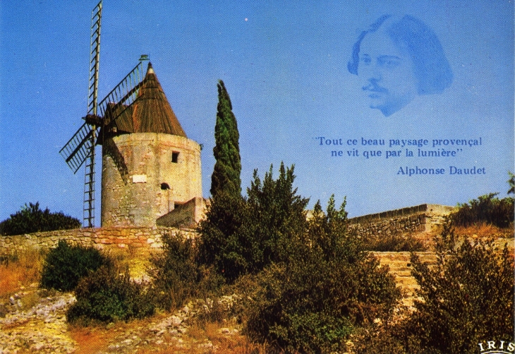Le Moulin de Daudet (carte postale de 1990) - Fontvieille