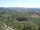 Photo suivante de Les Baux-de-Provence La plaine oléicole