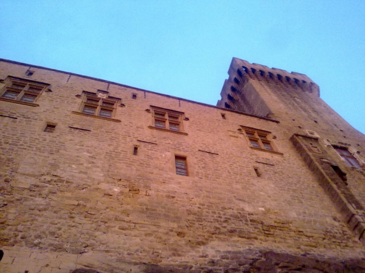Chateau de l'Empéri - vue rue des Lices - Salon-de-Provence