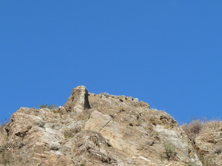 Les ruines du chateau - La Garde-Freinet