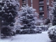sous la neige en janvier1985