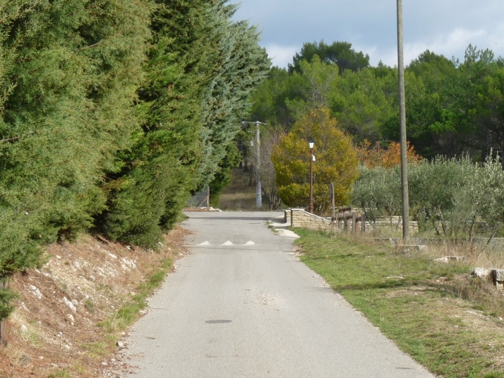 La route du village - Riboux